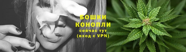 гидропоника Белокуриха