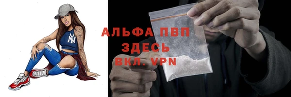 ГАЛЛЮЦИНОГЕННЫЕ ГРИБЫ Беломорск