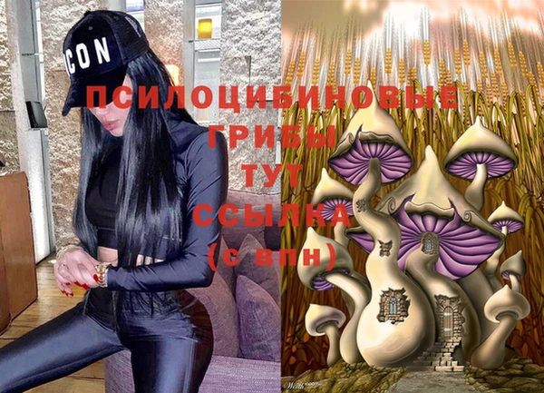 гидропоника Белокуриха