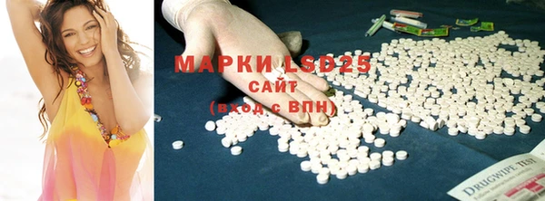 ГАЛЛЮЦИНОГЕННЫЕ ГРИБЫ Беломорск