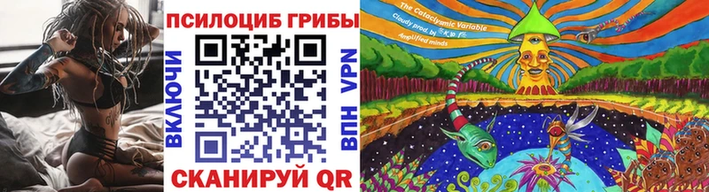 Галлюциногенные грибы Psilocybine cubensis  Волосово 